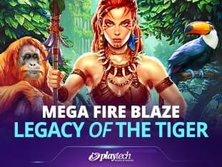 Mega Fire Blaze™ Legacy Of The Tiger™ screenshot